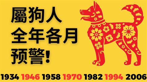 屬狗今日財運方位|【屬狗方位】肖狗方位運勢大揭秘：最適宜的樓層、方位導引